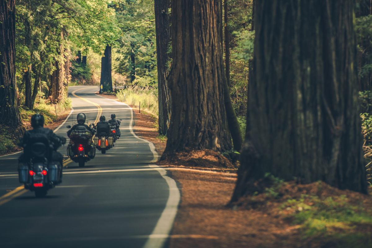 Motorbike Road Trip Tips: Prepare For An Adventure