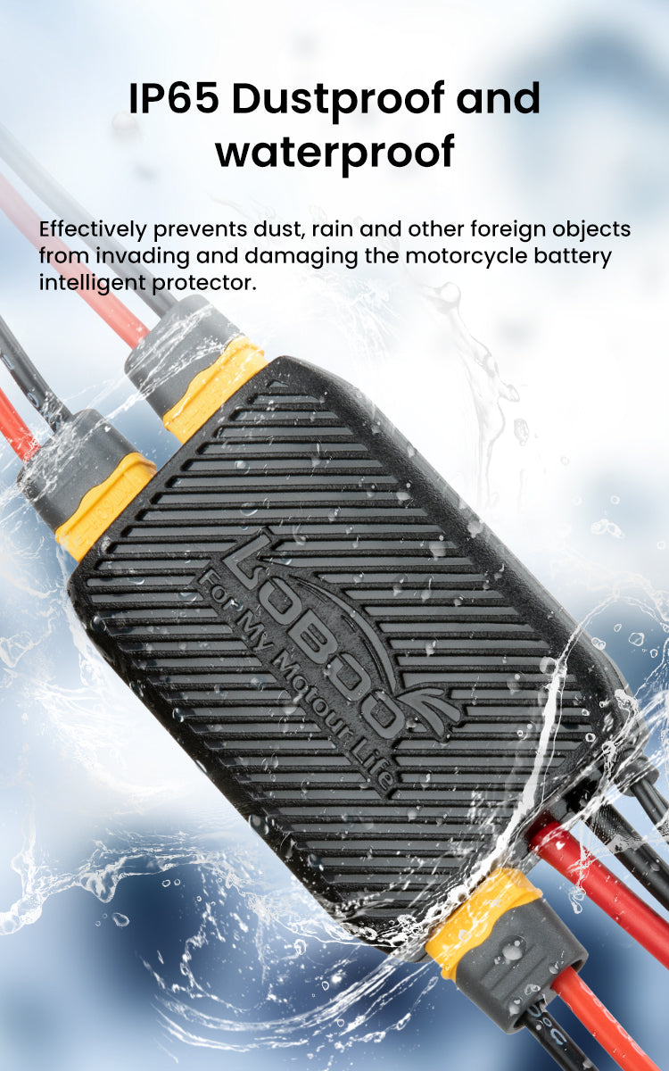 Loboo CB20 Smart Battery Charger